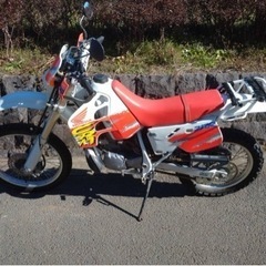 ホンダ　CRM250R  MD24