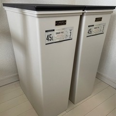 ゴミ箱(天馬)45L 2個セット