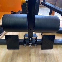 ONI ラットプルダウン　ウエイトスタックの画像