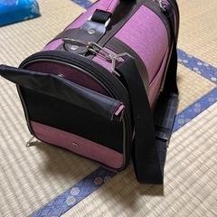 済の画像