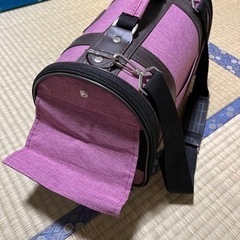 済の画像