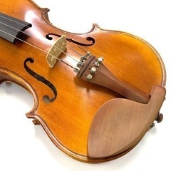2486 楽器　ヴァイオリン　ハルシュタット　Hallstatt 弦楽器　クラシックの画像