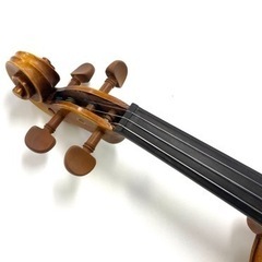 2486 楽器　ヴァイオリン　ハルシュタット　Hallstatt 弦楽器　クラシックの画像