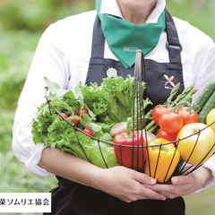 日本野菜ソムリエ協会が兵庫県神戸市にて 『野菜ソムリエ 無料セミ...