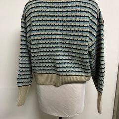 ☆値下げ☆N2401-217 ems ショート丈ニット マルチボーダー ブルー/ライトブルー/ベージュ サイズFの画像