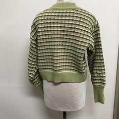 N2401-218 ems ショート丈ニット マルチボーダー ブラウン/ライトグリーン/ホワイト サイズFの画像