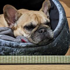修身塾 空手道場 塾生随時募集中の画像