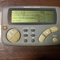 進研ゼミ　ポケットチャレンジ