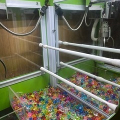 ガチャゲッツ30★美品★UFOキャッチャー/クレーンゲーム★ゲーセンで一度は見たことあるはずです！設定の裏を知るチャンスです！の画像