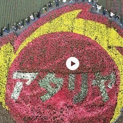 花苗の生産をしてくれる農家さん募集！の画像