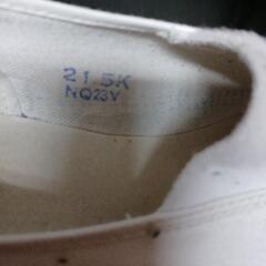 体育シューズの画像