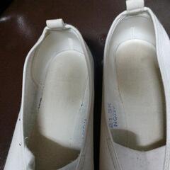 体育シューズの画像