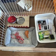 犬飼育セット(ゲージ＋トイレ＋その他諸々)