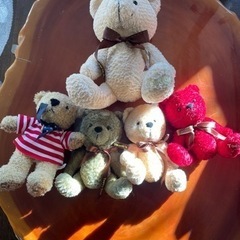teddy bear セット