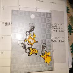 ポケモン POKÉMON メタルチャーム 2012