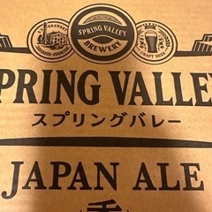 キリン スプリングバレー ジャパンエール ＜香＞ 350ml×24本