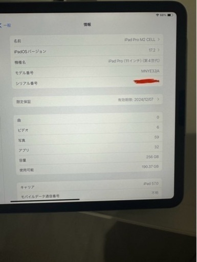 iPad Pro 11インチ 第4世代 Wi-Fi+Cellular 256GB