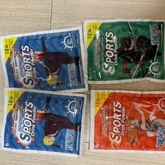 スポーツドリンクパウダー　40g