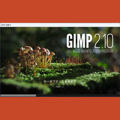フォトレタッチしよう！無料のGIMPでしよう！【GIMPの基礎】の画像