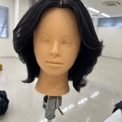 3月5日(火)・8日(金) 💇🏻‍♀️カットモデルさん募集中！
