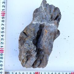 ADA龍王石セット　３点　約５キロの画像