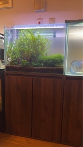 アクアリウム一式