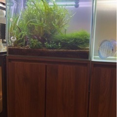 アクアリウム一式