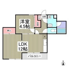 ✨『1LDK 』鎌倉市二階堂✨嬉しい😆敷金礼金無料✨コンビニ徒歩圏内✨