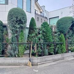 お庭のお手入れ　お庭の現状回復なんでも − 埼玉県