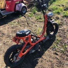スズキ　チョイノリ　書類付レストアベース車の画像