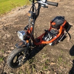 スズキ　チョイノリ　書類付レストアベース車の画像