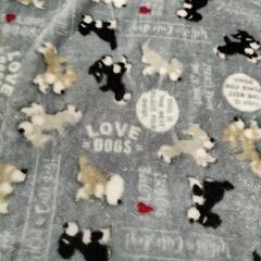 【美品】ブランケット ひざ掛け 犬柄
