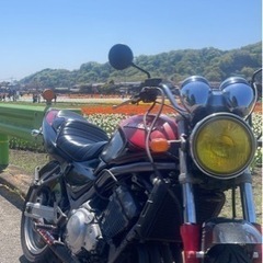 バリオス1型　火の玉カラー