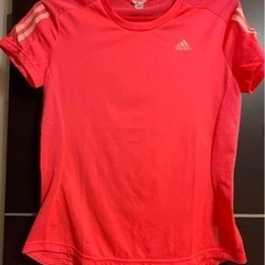 レディース　Adidas ティシャツ