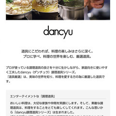 未使用:dancyu 鉄なべ 鉄鍋 パエリア鍋 28cm ガラス蓋付きの画像