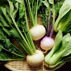 野菜、ぜんざいの販売、ハンドメイド、マッサージなど📢2/3(土)...
