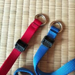 《今月末まで出品のジモティー限定特価！！》犬用　首輪　小型犬〜虫型犬まで幅広く対応　少し特殊な首輪　未使用×2本　赤＆青の画像