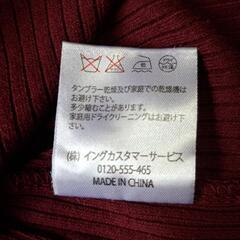 INGNIカットソーの画像