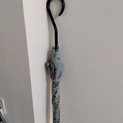 Sybillaの傘の画像