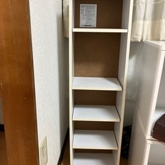 1/30まで　CDラック