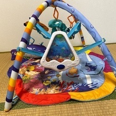 Disney baby einstein プレイジム　プレイマット　ディズニー　おもちゃの画像