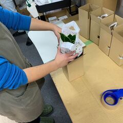 【未経験者OK】通販商品の箱詰め梱包・発送作業の求人＜根岸駅徒歩1分＞の画像