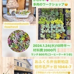 かわいい多肉植物のワークショップ