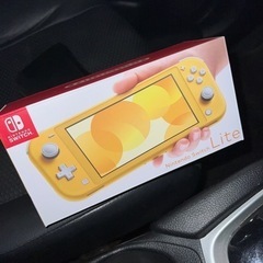 Switch lite