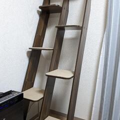 【取引先決定】【あげます】キャットタワー　木製　美品　キャットシェルフの画像