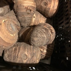 親芋(里芋)1kg