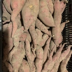 さつまいも1kg