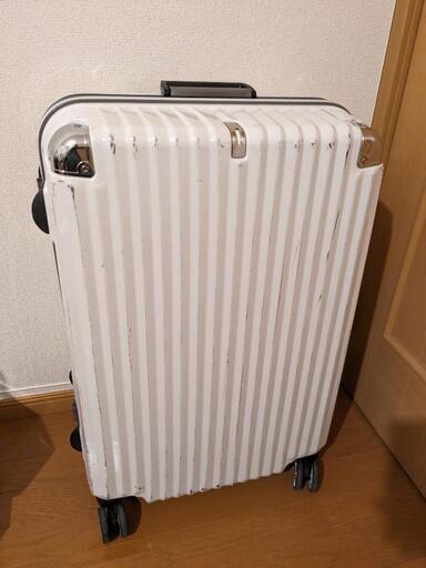 スーツケース大型50x30x73cm