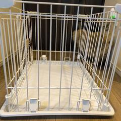 犬猫小動物アイリスオーヤマゲージシステムサークルトレー付の画像