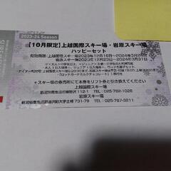 上越国際スキー場 岩原スキー場 大人1枚＋ 子供1枚 リフト引換券
